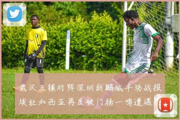 武汉三镇对阵深圳新鹏城半场战报埃杜加西亚再度破门杨一鸣遭遇红牌处罚