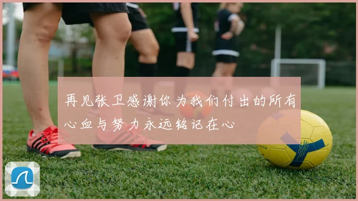 再见张卫感谢你为我们付出的所有心血与努力永远铭记在心